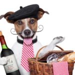 Jucariile si animalele de companie ne imbunatatesc starea