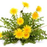Energie de primavara: sucurile naturale si beneficiile lor pentru organism