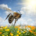 Protejati copiii de intepaturile de insecte!
