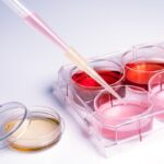 Cele mai noi descoperiri medicale care ar putea revolutiona lumea