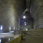 Curatarea organismului prin detoxificarea celor 6 organe vitale