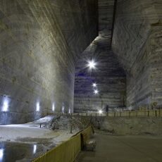 Curatarea organismului prin detoxificarea celor 6 organe vitale