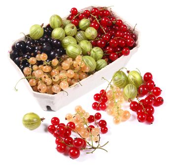 Topul fructelor bogate in antioxidanti_result