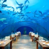 Top 5 atractii turistice subacvatice
