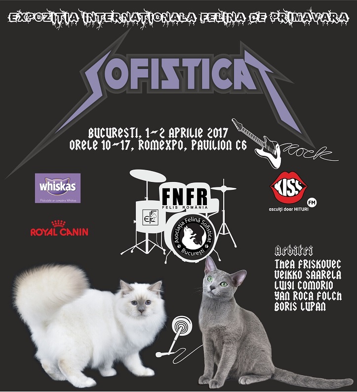 Weekend SofistiCAT pentru iubitorii de pisici: ce surprize te asteapta la Expozitia Felina Internationala de Primavara
