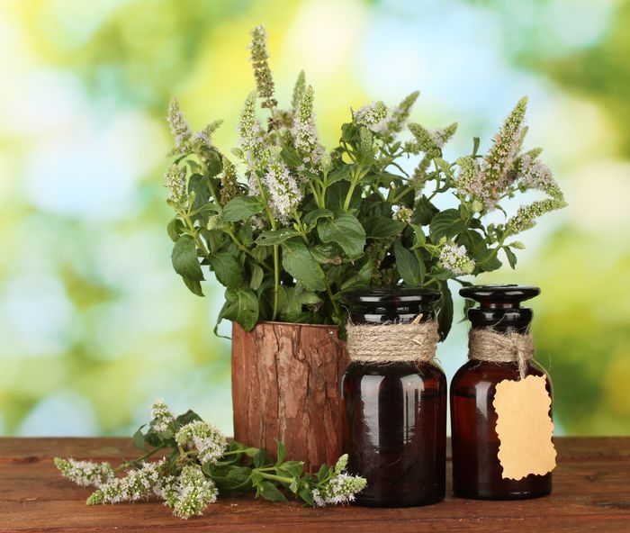detoxifierea sangelui)
