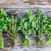 Plante aromatice pe care le poti creste in casa
