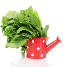 Unda verde la sanatate!