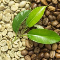 cafea verde