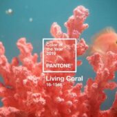 Culoarea anului 2019, aleasa de Institutul Pantone
