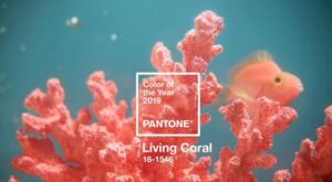 Culoarea anului 2019, aleasa de Institutul Pantone