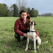 Ce animale de companie au eroii din Avengers