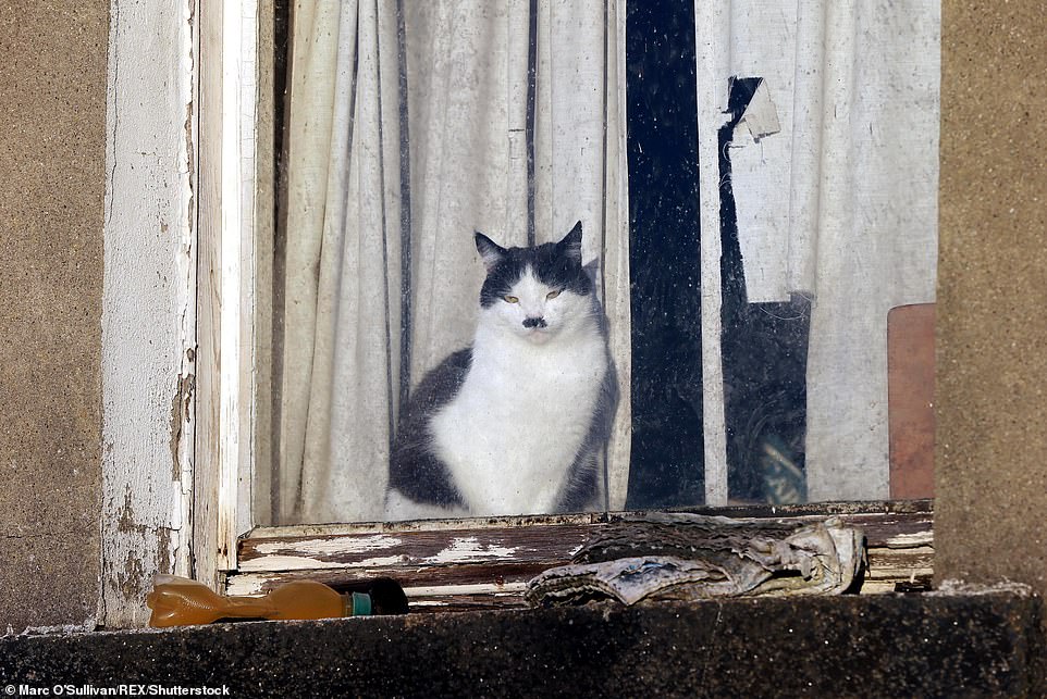 Încălțări PUMA ironizate pentru că seamănă cu un dictator