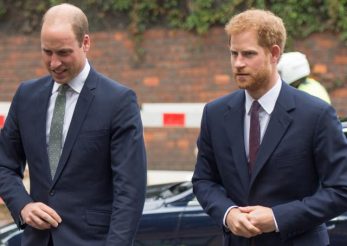 Prințul Harry și Prințul William – „plini de furie și resentimente” după Megxit