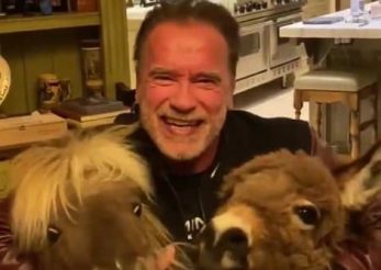 Arnold Schwarzenegger ne recomandă să stăm în casă