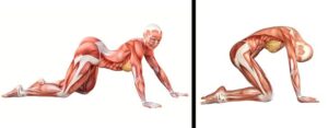 Exerciții de stretching pentru flexibilitatea de altădată