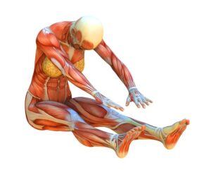 Exerciții de stretching pentru flexibilitatea de altădată