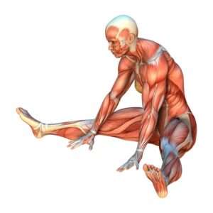 Exerciții de stretching pentru flexibilitatea de altădată
