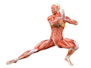 Exerciții de stretching pentru flexibilitatea de altădată