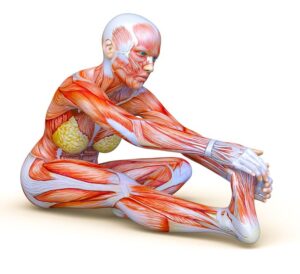Exerciții de stretching pentru flexibilitatea de altădată