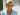 Lady Di va avea un musical dedicat pe canalul Netflix