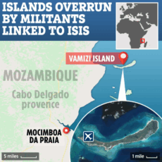 Insula celebrităților, invadată de ISIS