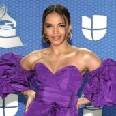 Latin Grammy Awards 2020 – Ținutele de pe covorul… gri