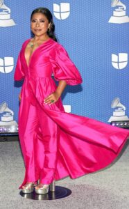 Latin Grammy Awards 2020 – Ținutele de pe covorul… gri