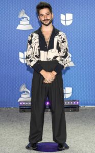 Latin Grammy Awards 2020 – Ținutele de pe covorul… gri