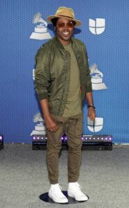 Latin Grammy Awards 2020 – Ținutele de pe covorul… gri
