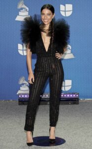 Latin Grammy Awards 2020 – Ținutele de pe covorul… gri