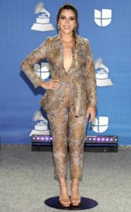 Latin Grammy Awards 2020 – Ținutele de pe covorul… gri