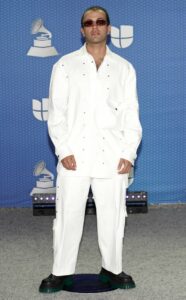 Latin Grammy Awards 2020 – Ținutele de pe covorul… gri