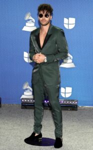 Latin Grammy Awards 2020 – Ținutele de pe covorul… gri