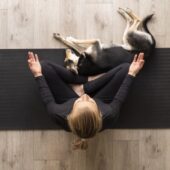 Ghid pentru stăpânele de animale – 5 boli de care pot suferi câinii