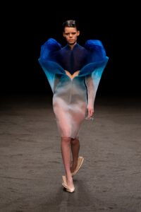 Schiaparelli, Christian Dior sau Iris van Herpen?