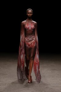 Schiaparelli, Christian Dior sau Iris van Herpen?
