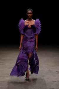 Schiaparelli, Christian Dior sau Iris van Herpen?