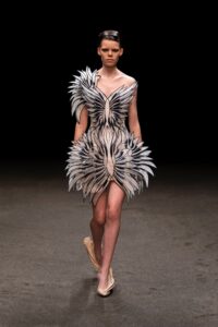 Schiaparelli, Christian Dior sau Iris van Herpen?