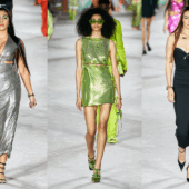 Staruri pe catwalk-ul Versace