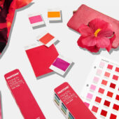 Culoarea anului 2023: Viva Magenta