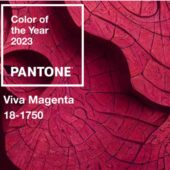 viva magenta