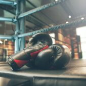 HELL Boxing Kings – Noua eră a boxului