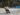 100 de schiori și snowboarderi s-au întrecut în cea mai trăsnită competiție
