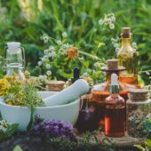 Ce este homeopatia și care sunt bazele acesteia