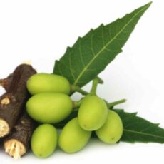 ulei de neem