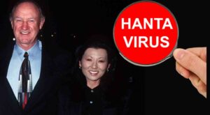 hantavirus