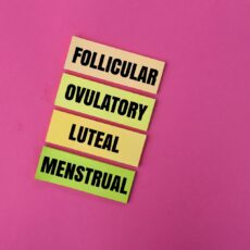 În ritmul naturii: fazele hormonale ale ciclului menstrual și impactul lor