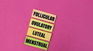 În ritmul naturii: fazele hormonale ale ciclului menstrual și impactul lor