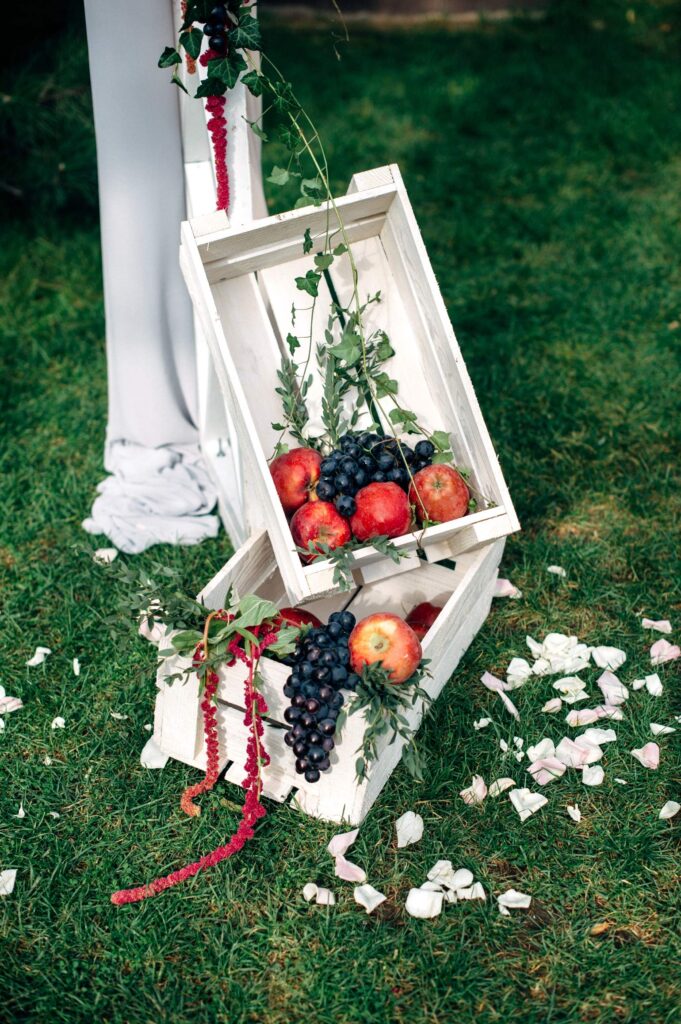 decor legume